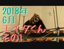 2018年6月 エイタくんその1