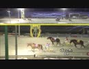 2019年2月17日帯広競馬9R 青森岩手千葉鳥取より愛を込めて(A2-1) アアモンドヒューマ