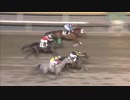 2019年2月21日船橋競馬8R 鉄道で楽しむ！ちばの旅賞(B1・B2選抜馬ア) リュウノヴィグラス