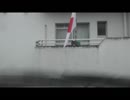 _AA_m_all_190219_上・左右の変態家族が常習体制護持に、必死のストーカー掻き集めで火病炎上工作の模様・・