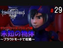 【キングダムハーツ３】未知の物体～プラウドモードで攻略～【Part29】