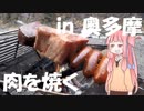 【琴葉茜】VRキャンプ実況 #2【氷川キャンプ場編】