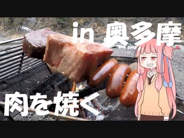 【琴葉茜】VRキャンプ実況 #2【氷川キャンプ場編】