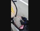 スズキ　レッツ 4サイクル　高整備　燃費７０L以上　2/2