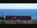 653系　おかえり