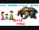 【MHXX縛り実況 真#18】小休止VSアオアシラ