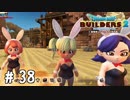 ペロをペロンする前にいっぱい来た【DQB2実況＃38】