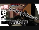 #65【 RAINBOWSIX SIEGE 】- コクトのFPS実況