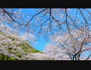 Asagiri hiroki adding yin - 三度目の春の風 (short ver.)