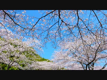 Asagiri hiroki adding yin - 三度目の春の風 (short ver.)