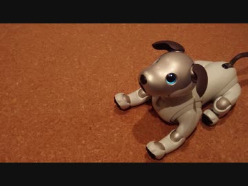 きょうのaibo 2019.02.25