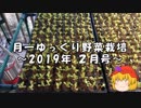 月一ゆっくり野菜栽培 2019年2月