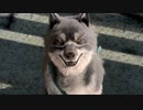 【べあーの父と子。そして王の物語】ファイナルファンタジーXV　part.3