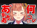 【ヘルプ】なんじゃこれ！【これの名前】
