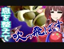 【スマブラSP】持ちキャラ探しの旅　リラックスして吹っ飛ばす！　灯火の星parrt15 WiiFitトレーナー編【ゆっくり実況】