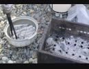 バーベキュー後の炭処理はこうやれば簡単！