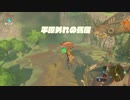 【ゼル伝BotW】100年の眠りから目覚めた勇者の冒険３９【もちまる】