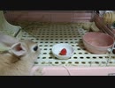 苺をたべるうさぎさん