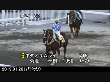 【ばんえい競馬】切れ味で勝負する馬たち
