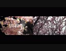 【比較】10年桜を踊ってみた【花岡さん１０周年記念聖地巡礼】