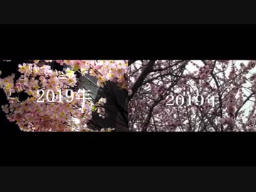 【比較】10年桜を踊ってみた【花岡さん１０周年記念聖地巡礼】