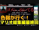 【スーパーマリオブラザーズ】色弱が行く！スーパーマリオ総集編その13(最終回)【感度５億】
