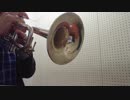 【毎日投稿】愛言葉Ⅲをトランペットで【吹いてみた】