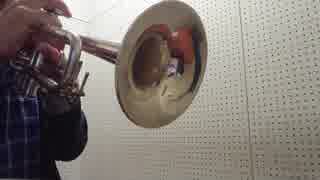 毎日投稿 愛言葉 をトランペットで 吹いてみた ニコニコ動画