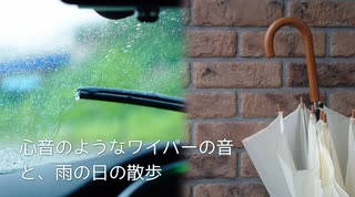 ASMR □ 車内にて ささやき ☔️ ワイパーと雨の音 Relaxing Wiper & Rain Sound