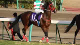 【ウイニングポスト8 2015】女馬主と早世馬の新世界【実況プレイ】341