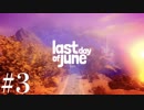 【字幕】愛する人を救うため、僕は過去を書き換える３【Last Day of June】