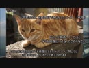 (ゆっくり解説)「=LOVEの妹」≠ME