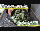 【ＮＷＴＲの中身】わかめご飯