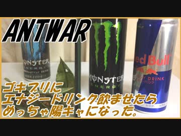 ゴキブリにエナジードリンク飲ませたら異常なほど陽キャになった。