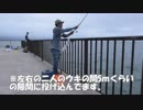 【かーびーの釣り日記】近所の漁港でサビキ釣り：2018年7月