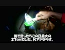【かーびーの釣り日記】離島釣行・悪天候の堤防でアジを釣る!：2018年10月