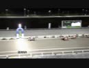 2019年2月26日高知競馬8R 梅花特別(C3-1組) ヘルツフロイント