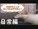 ２月２２日に出すべき動画 日常パート 【つぐのひ ねこの日怪奇譚】