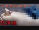 ２月２２日に出すべき動画 恐怖パート 【つぐのひ ねこの日怪奇譚】