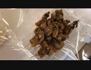 焼あさり串やお魚いっぱいの浦安魚市場