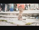 【無料フリーBGM】ファンシーでかわいい曲「Sweet2」