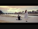 【なひしあ】ニア【踊ってみた】
