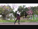 【紅じゃけ】 さよならガール　踊ってみた