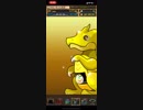 【パズドラ】祝7周年！人権サレーネ求めて全力スーパーゴッドフェス【フレンド親友募集中】