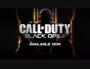 自分の使いやすい武器を探すPart1 KN-44【COD:BO3】