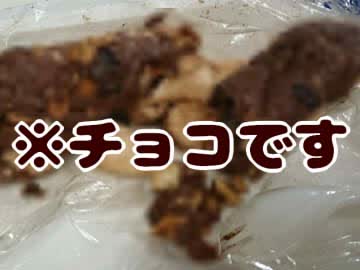 【会員無料】桃色メイド服でバレンタイン♡本命チョコ作ろ！☆＋。【料理/チョコレート】