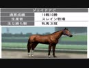 【ウイニングポスト８】トウカイテイオーの仔でＧⅠ勝利を目指す part107