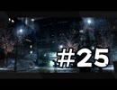#25【ハラショー44】Detroit: Become Human実況プレイ【キャピタルパーク】