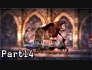 【Salt and Sanctuary】Part14 インコと見せかけて羊【実況】