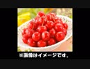 第１回Tx杯　ラント出場部分まとめ